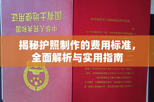 茂南揭秘护照制作的费用标准，全面解析与实用指南